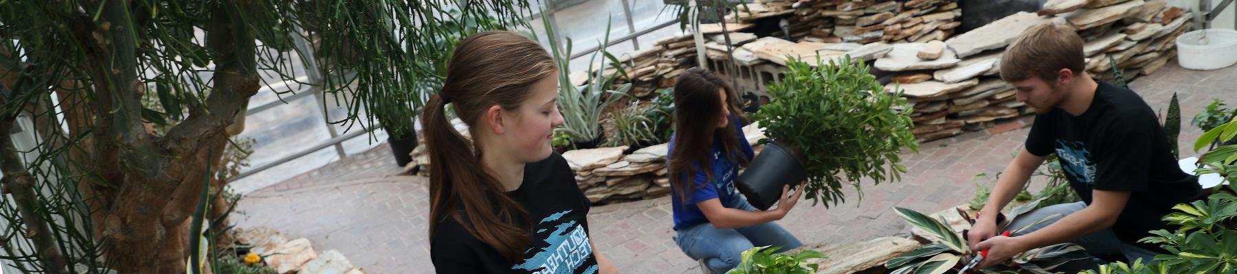 Horticulture students working in greenhouse